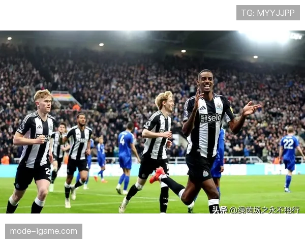 纽卡斯尔转会窗豪掷引援，球队实力跃升引发关注