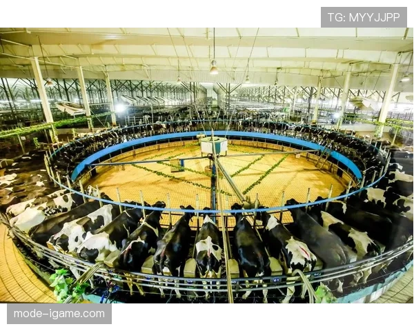 安德莱赫特新赛季展望:重建之路启程,新星闪耀助力复兴 安德莱赫特新赛季展望:重建之路启程,新星闪耀助力复兴