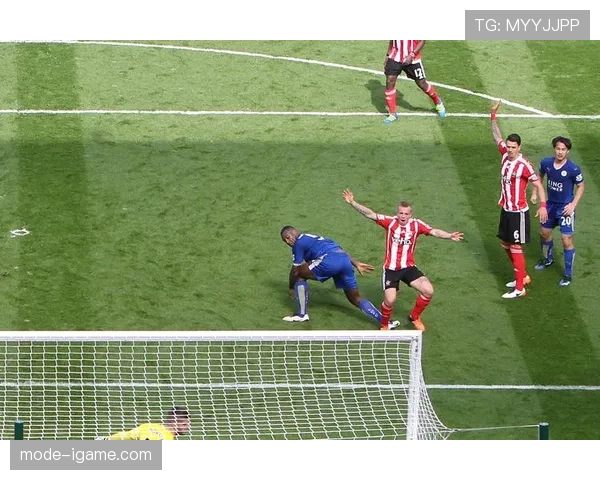 阿根廷队战术亮点：灵活机动阵型与精准配合彰显团队竞争力